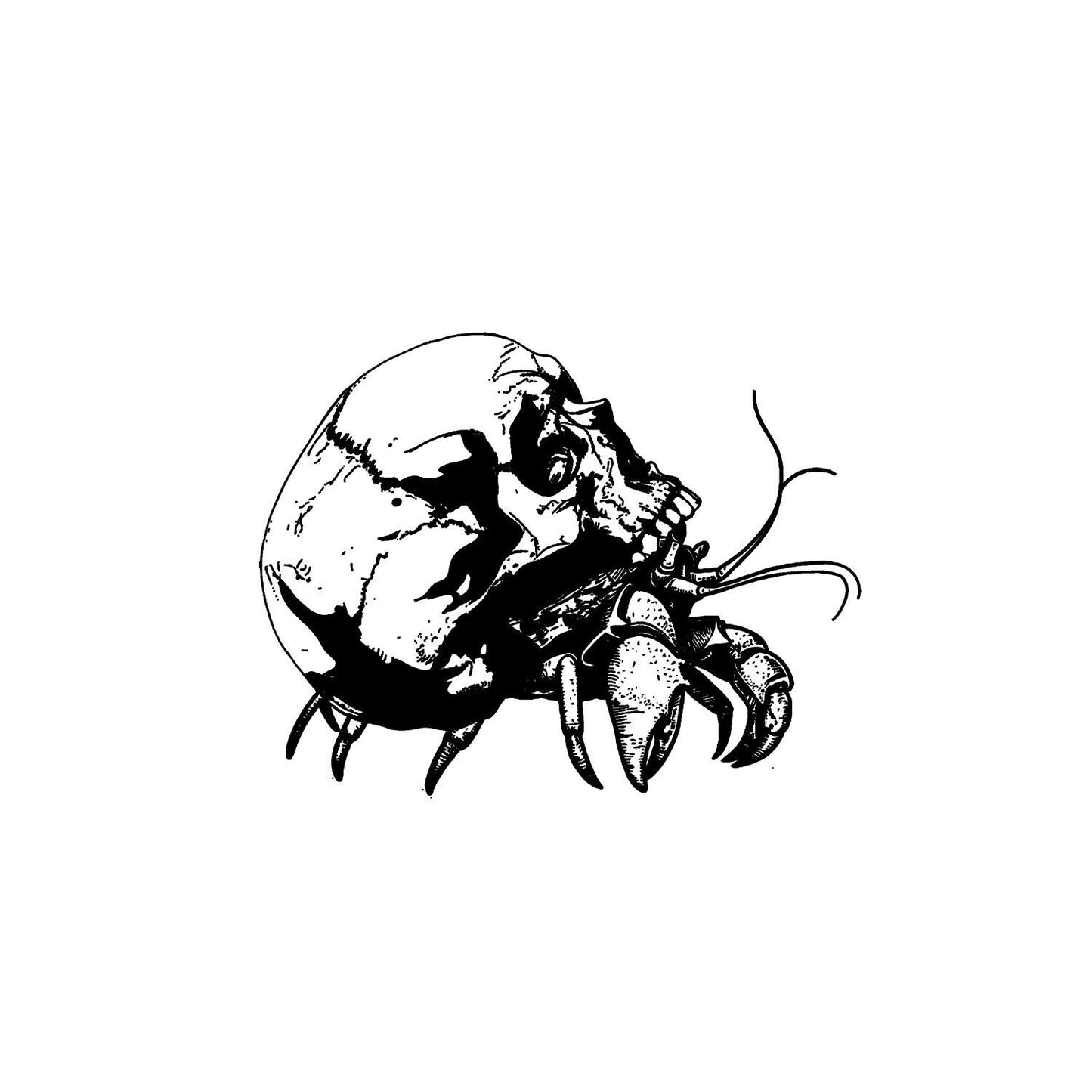 Creepy Crab Graphic, Hermit Crab PNG, Crabby Graphic, Instant Download, Laser Engraver Files, Crab Skull SVG, Skull Crab, Scary Crab Image!!