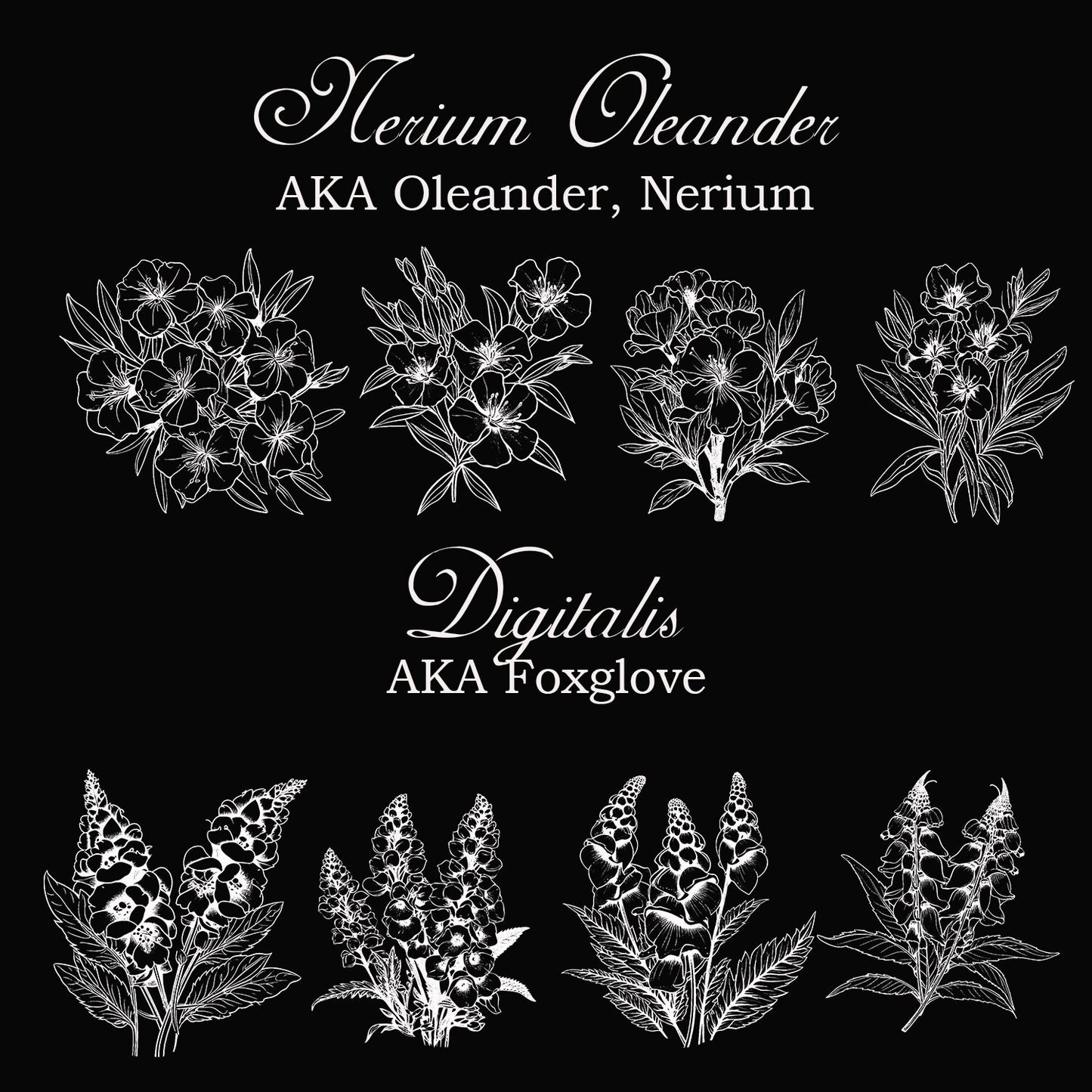 Poisonous Plants Graphics Bundle, PNG and SVG Files, Instant Download, Laser Engravable Files, SVG Bundle, Png Bundle, Toxic Plants Bundle!