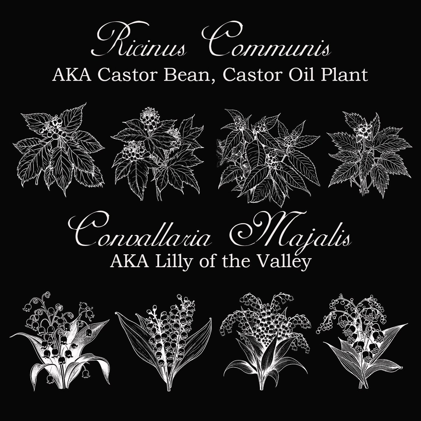 Poisonous Plants Graphics Bundle, PNG and SVG Files, Instant Download, Laser Engravable Files, SVG Bundle, Png Bundle, Toxic Plants Bundle!