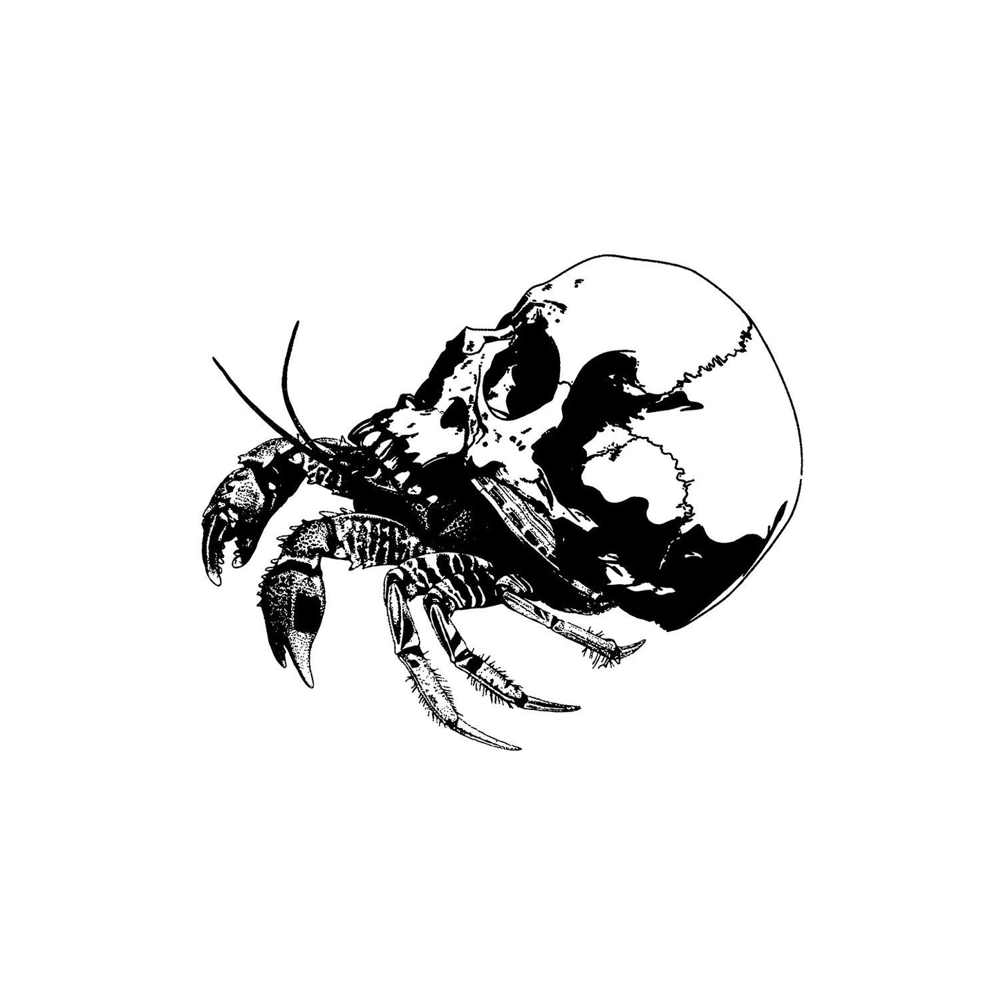 Creepy Crab Graphic, Hermit Crab PNG, Crabby Graphic, Instant Download, Laser Engraver Files, Crab Skull SVG, Skull Crab, Scary Crab Image!!